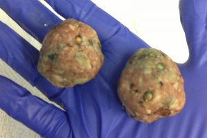 polpette avvelenate