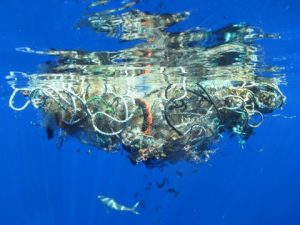 ammassi plastica oceano