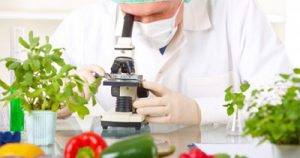alimentazione