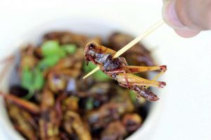 grilli
