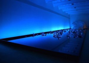 Black Light, White Light michel comte