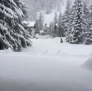 Champoluc