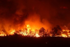 Incendi in California