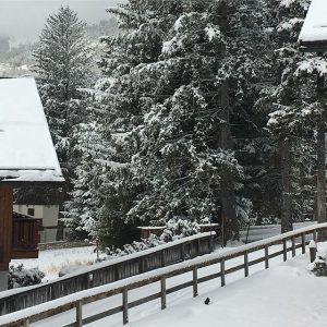 Cortina