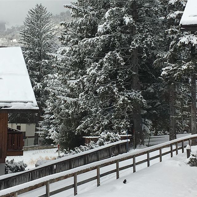 Cortina