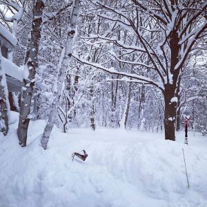 Erie Pennsylvania neve