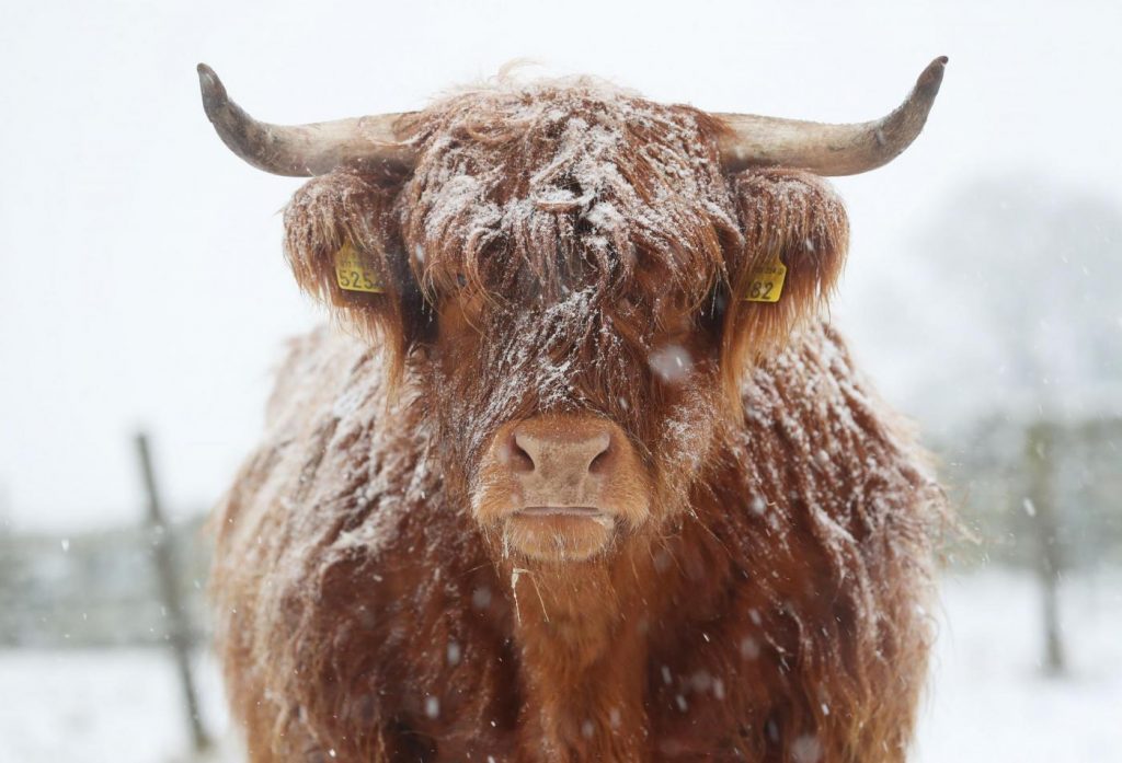 Maltempo freddo neve gelo Regno Unito