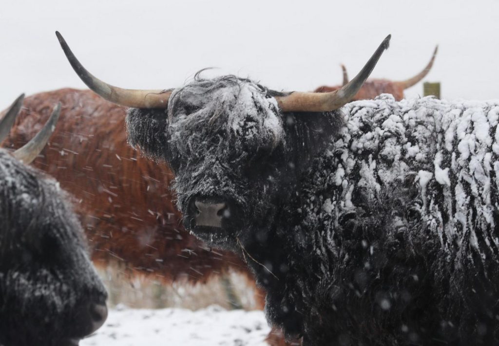 Maltempo freddo neve gelo Regno Unito