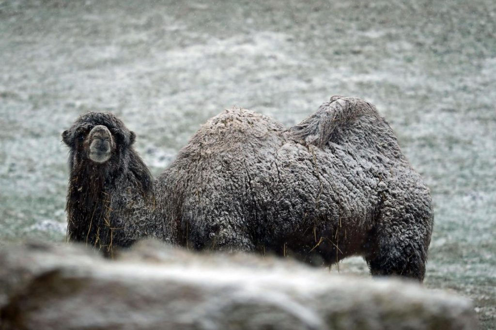 Maltempo freddo neve gelo Regno Unito