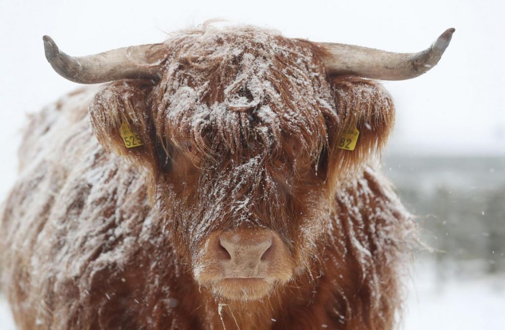 Maltempo freddo neve gelo Regno Unito