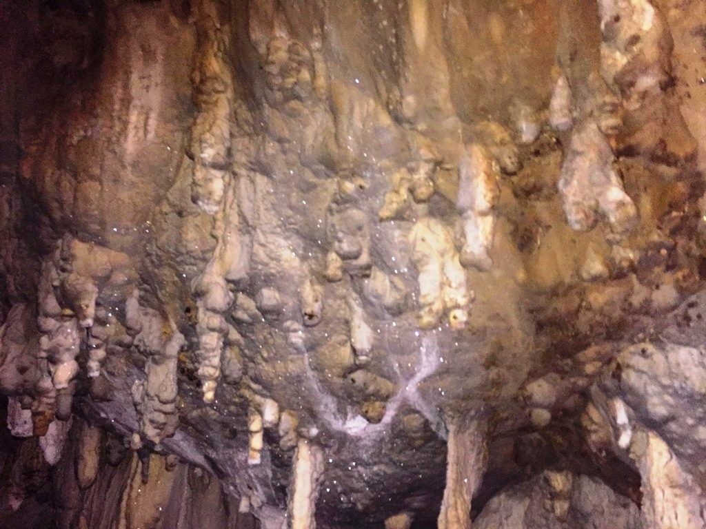 Grotte di Pertosa - Auletta
