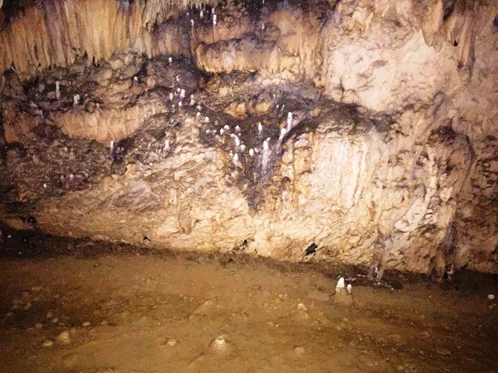 Grotte di Pertosa - Auletta