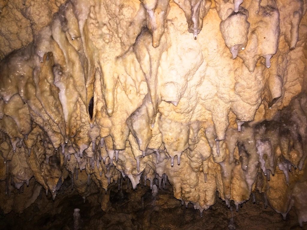 Grotte di Pertosa - Auletta