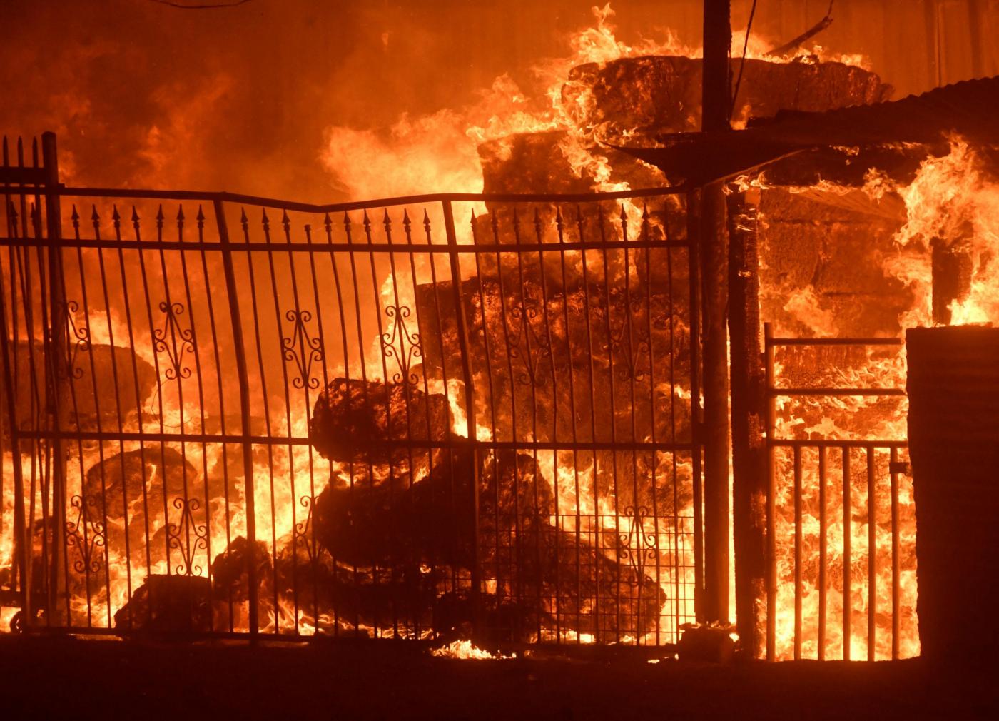 Incendi California Los Angeles
