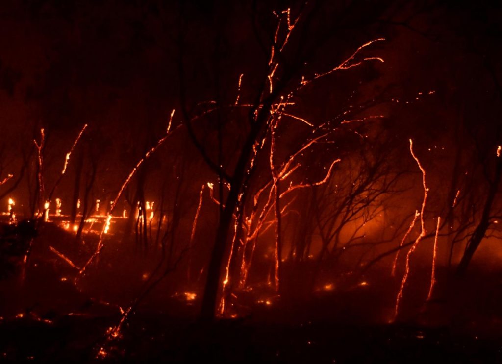 Incendi California Los Angeles
