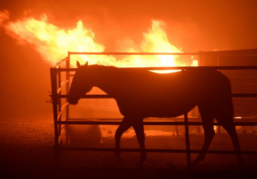 Incendi California Los Angeles