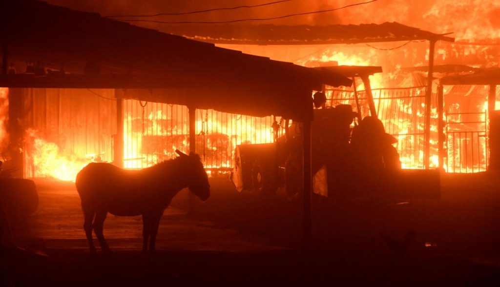 Incendi California Los Angeles
