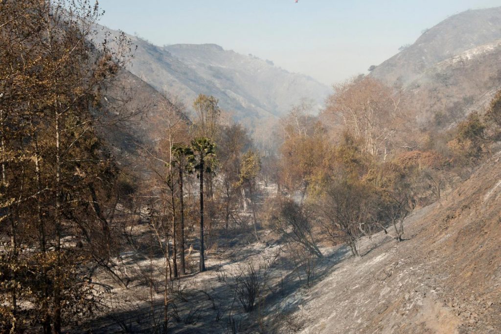 Incendi in California