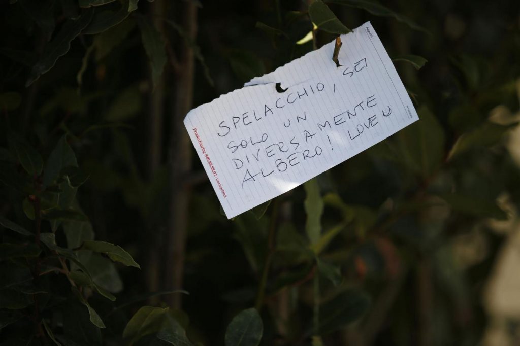Spelacchio
