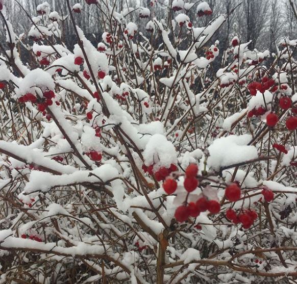 Londra neve