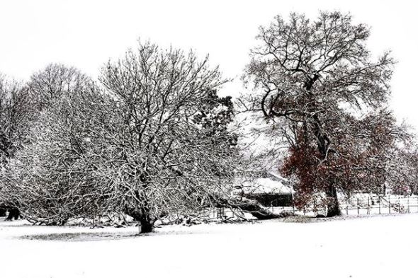 Londra neve