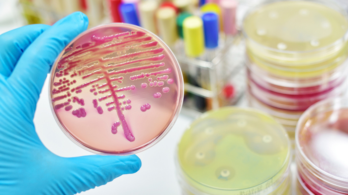 Microbiologia