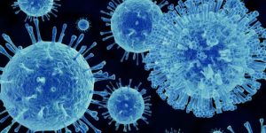 Norovirus