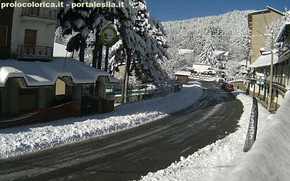 Neve Sila