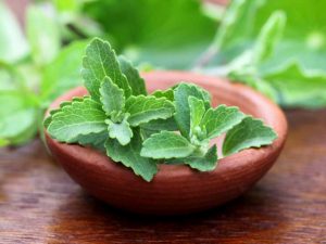 stevia dolcificante