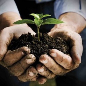 cibo e cambiamento climatico