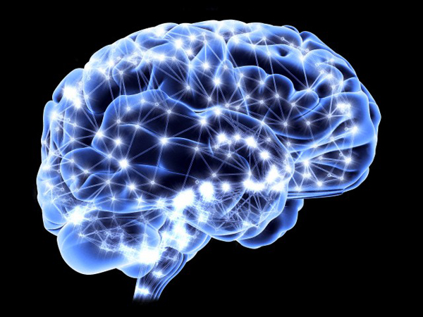 lo studio di un nuovo circuito cerebrale nell'embrione differenze motivazionali cervello