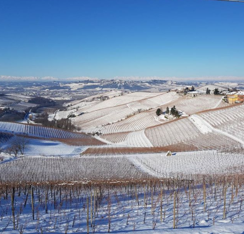 Cuneo