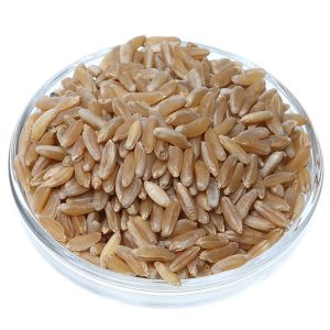 grano khorasan kamut