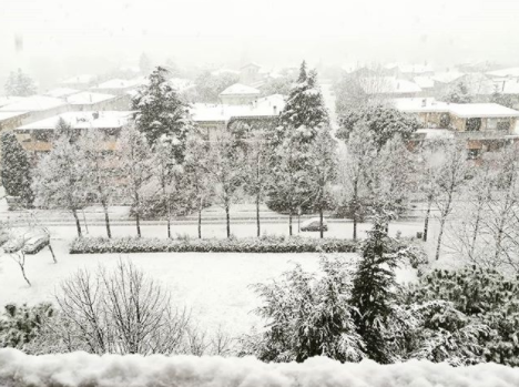 neve Rimini 20 dicembre 2017