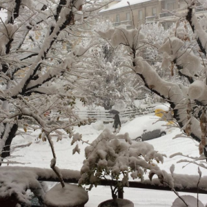 neve cuneo 2 dicembre 2017 (1)