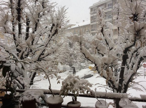 neve cuneo 2 dicembre 2017 (1)