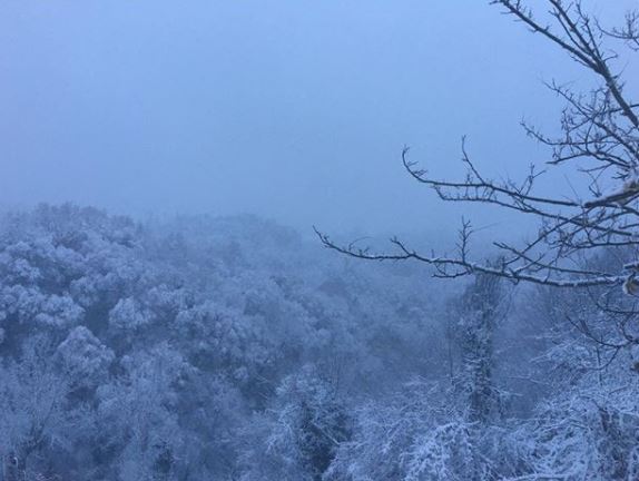 neve cuneo