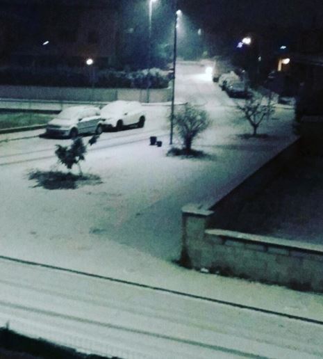 neve mantova