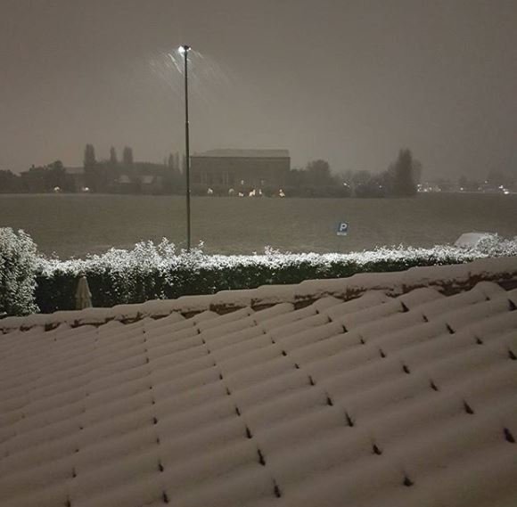 neve mantova