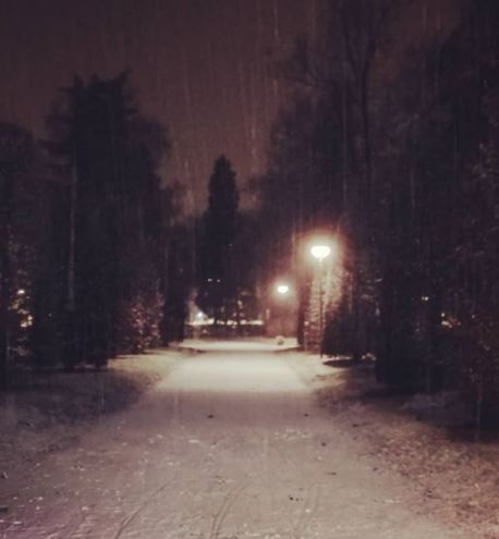 neve mantova