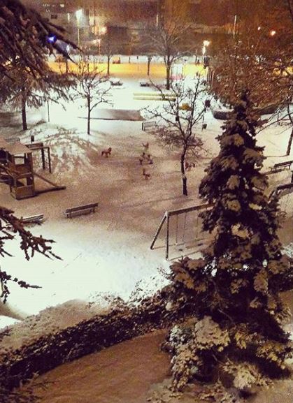 neve padova