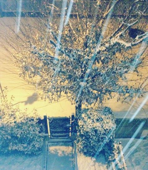 neve padova