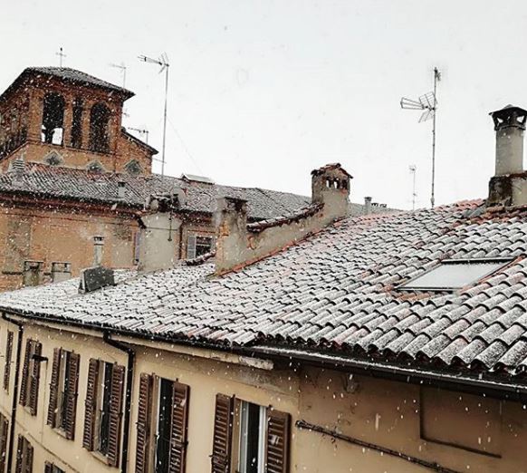 neve pavia 1