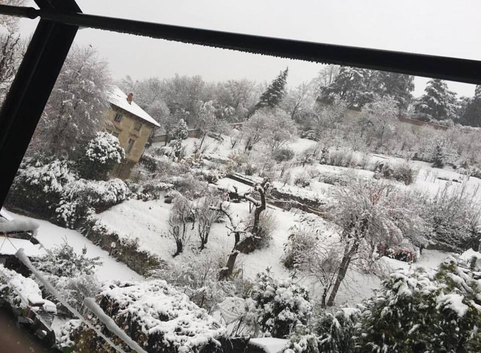 neve torino