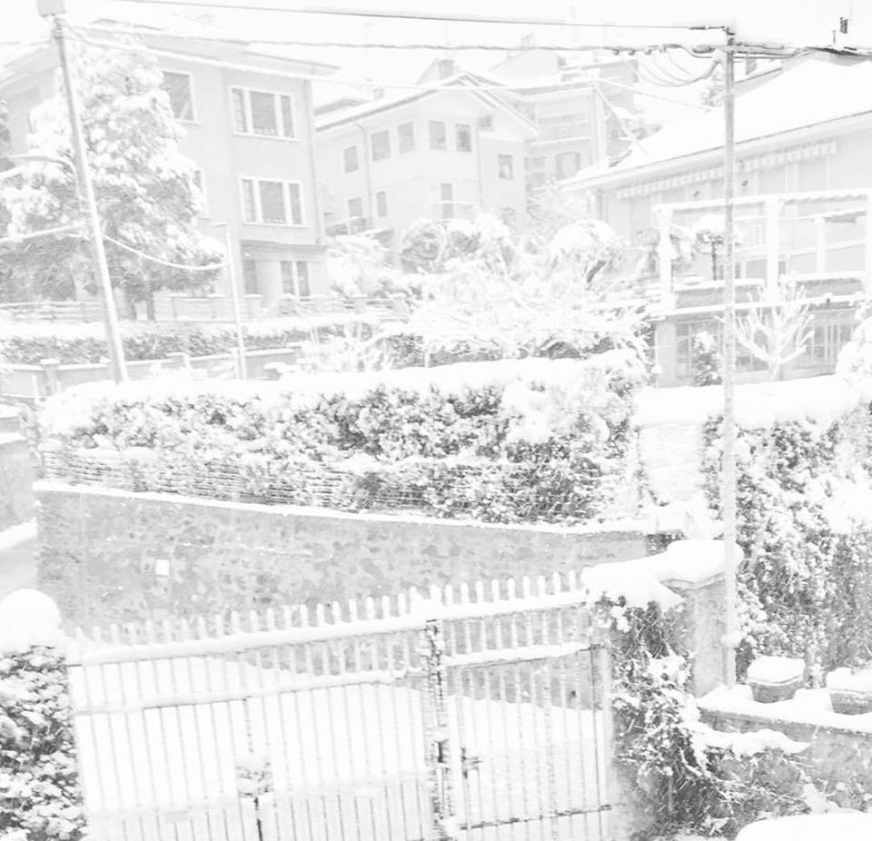 neve torino