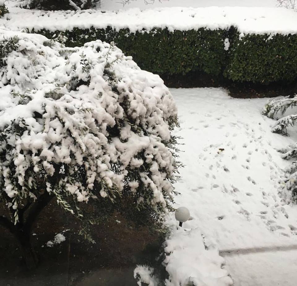 neve torino