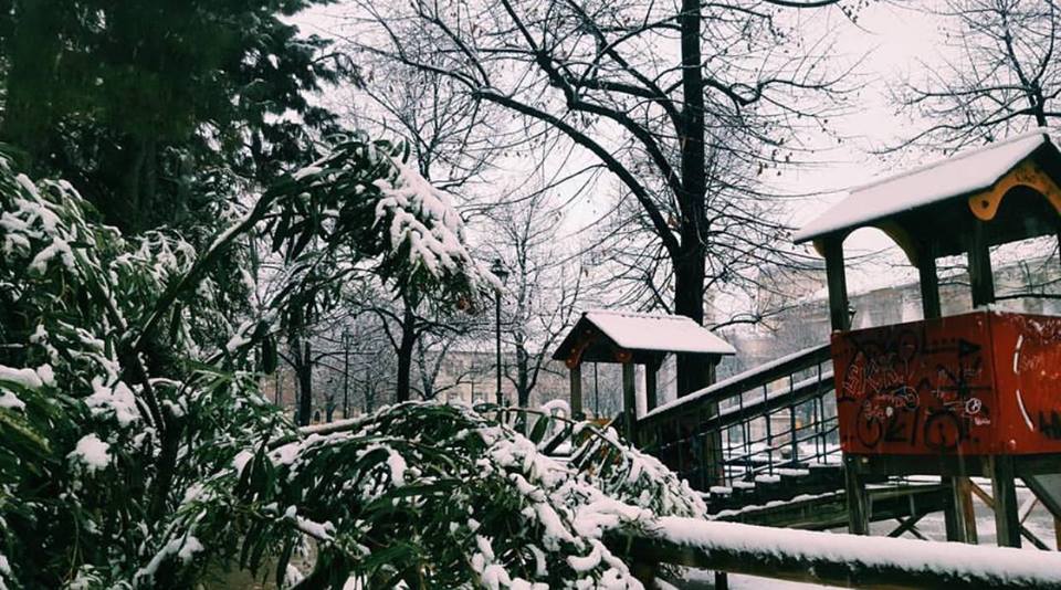 neve torino