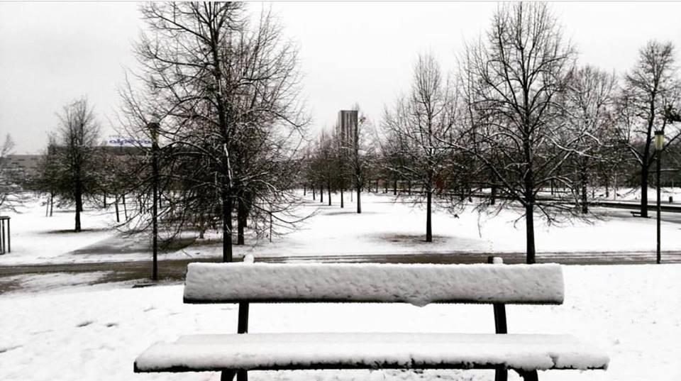 neve torino