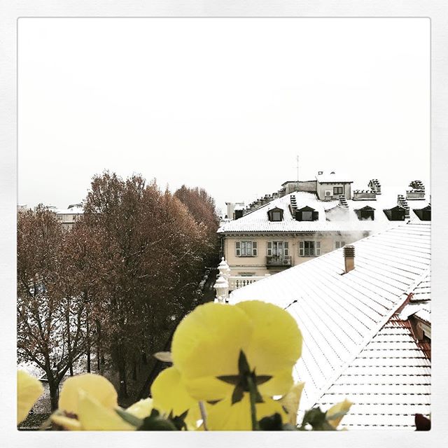 neve Torino