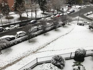 neve Torino